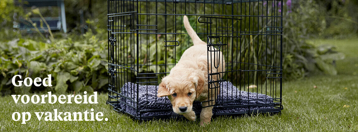 Vakantiecheck voor je hond - € 9.95